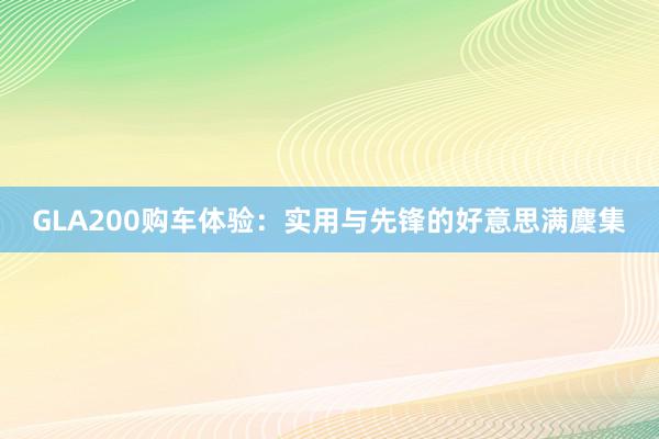 GLA200购车体验：实用与先锋的好意思满麇集